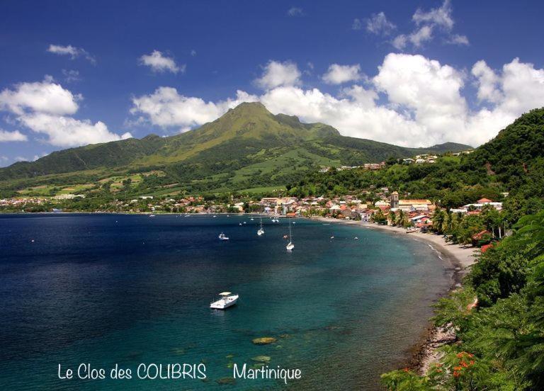 Lodge Colibris Piscine Privee Vue Panoramique Mer Et Montagne Pelee , 500 M Plage Dans Un Parc , Calme Assure Ideal Pour Decouvrir Le Nord Caraibes Le Carbet Dış mekan fotoğraf