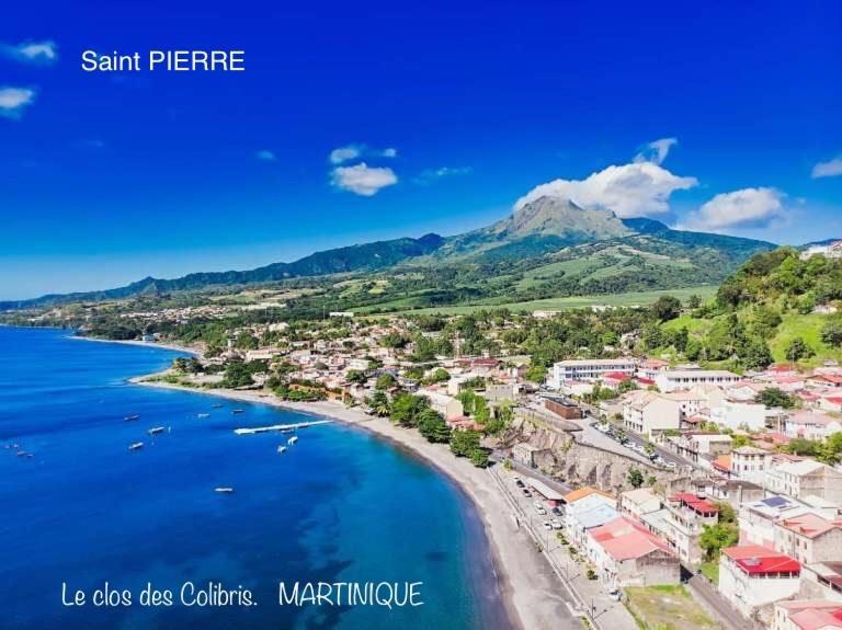 Lodge Colibris Piscine Privee Vue Panoramique Mer Et Montagne Pelee , 500 M Plage Dans Un Parc , Calme Assure Ideal Pour Decouvrir Le Nord Caraibes Le Carbet Dış mekan fotoğraf